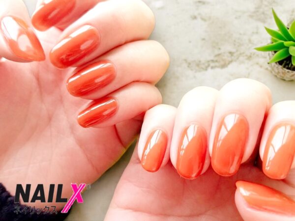 {{ $property->title }}の写真